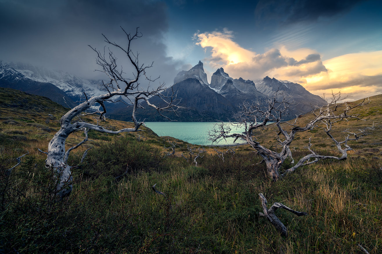 Torres del Paine