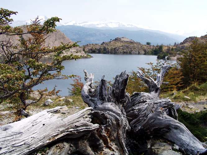 Torres del Paine