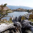 Torres del Paine