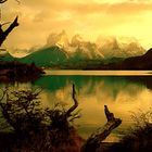 Torres del Paine