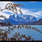 Torres del Paine (1)