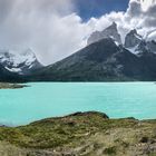 Torres del Paine 19