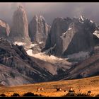 TORRES DEL PAINE 2