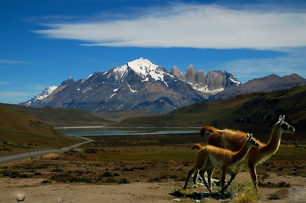 Torres del Paine 2