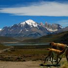 Torres del Paine 2