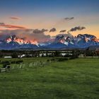 Torres del Paine 22