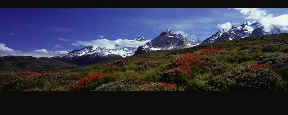 Torres del Paine