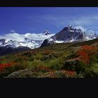 Torres del Paine