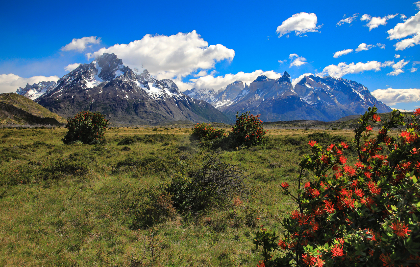 Torres del Paine 25