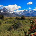 Torres del Paine 25