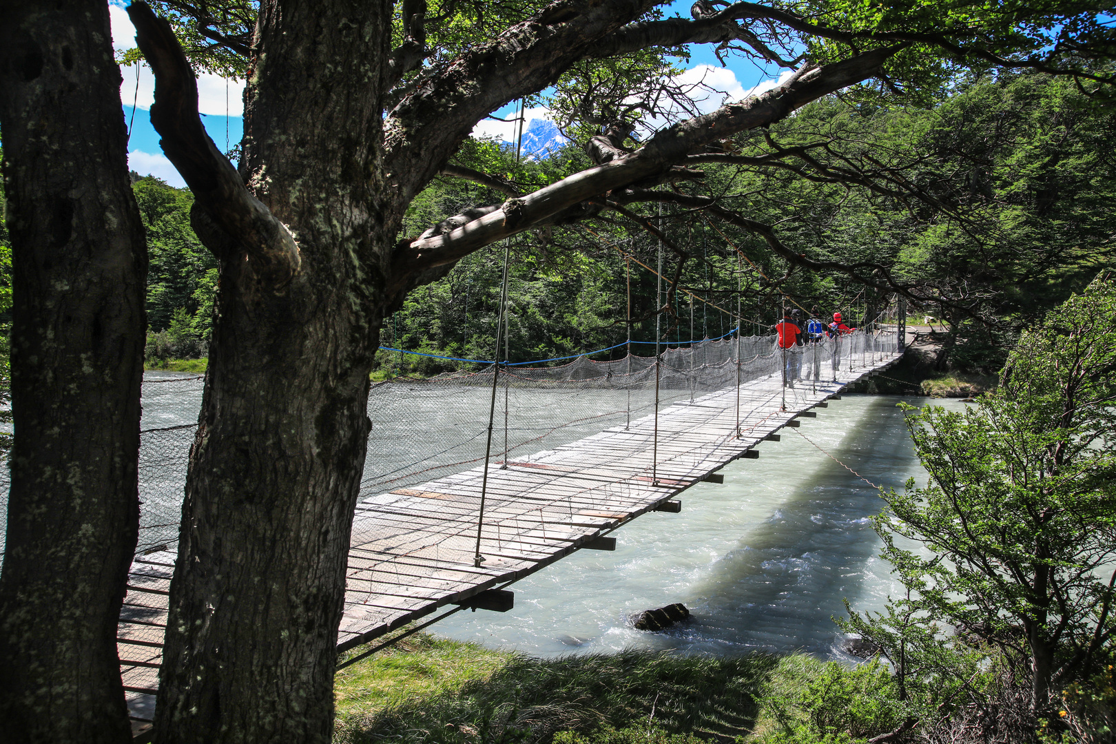 Torres del Paine 28