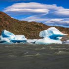 Torres del Paine 41