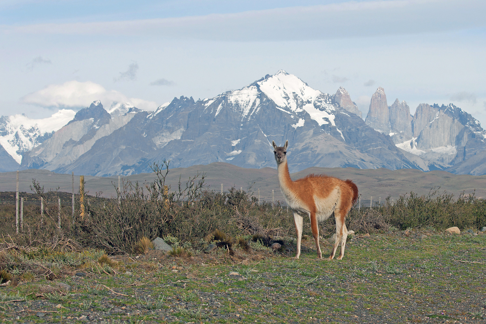 TORRES DEL PAINE