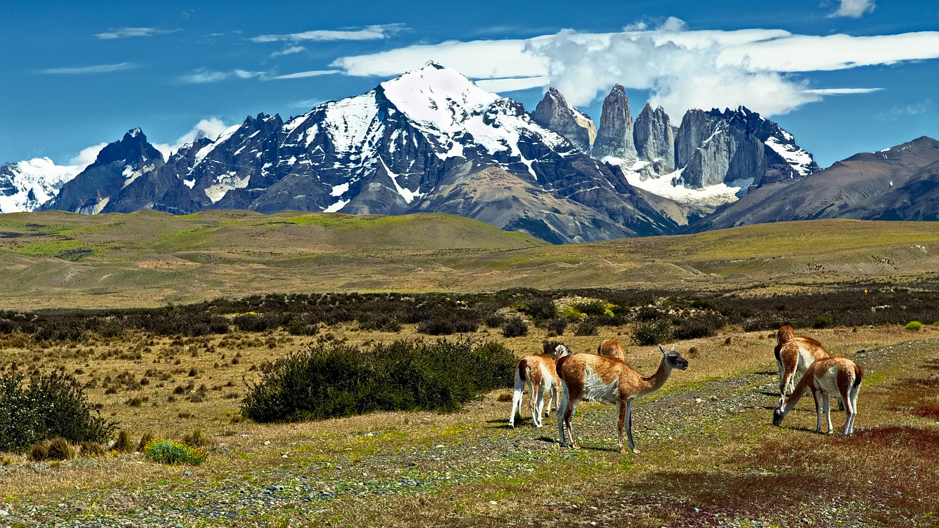 Torres del Paine