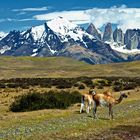 Torres del Paine