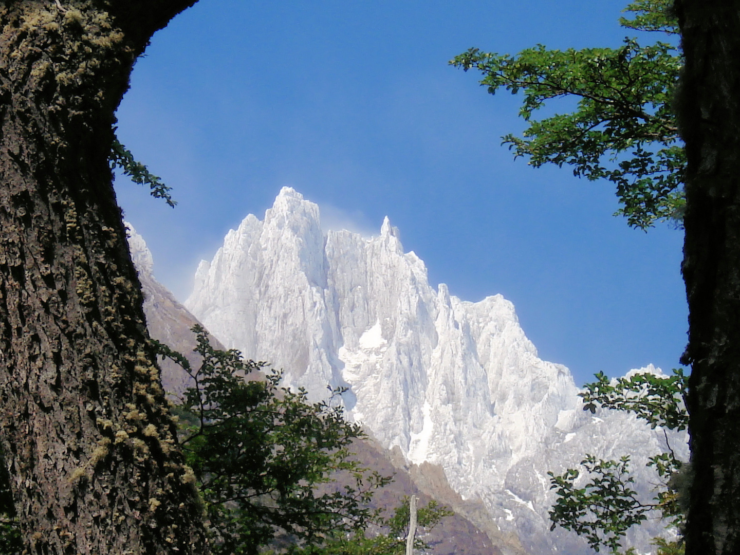 Torres del Paine