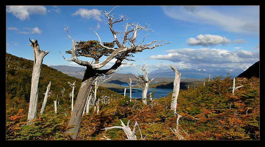 Torres del Paine