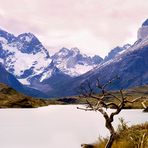 Torres del Paine