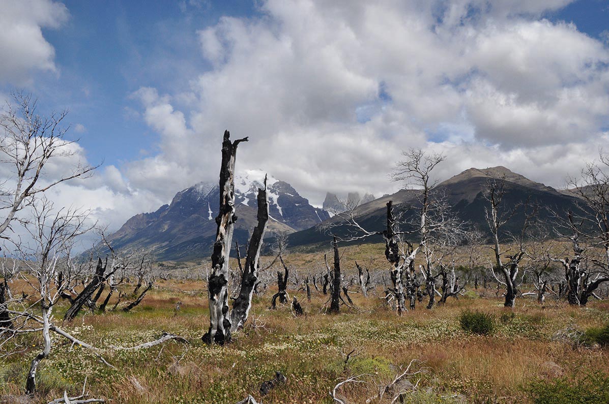 Torres del Paine