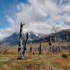 Torres del Paine