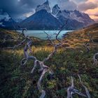 Torres del Paine