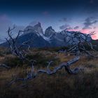 Torres del Paine