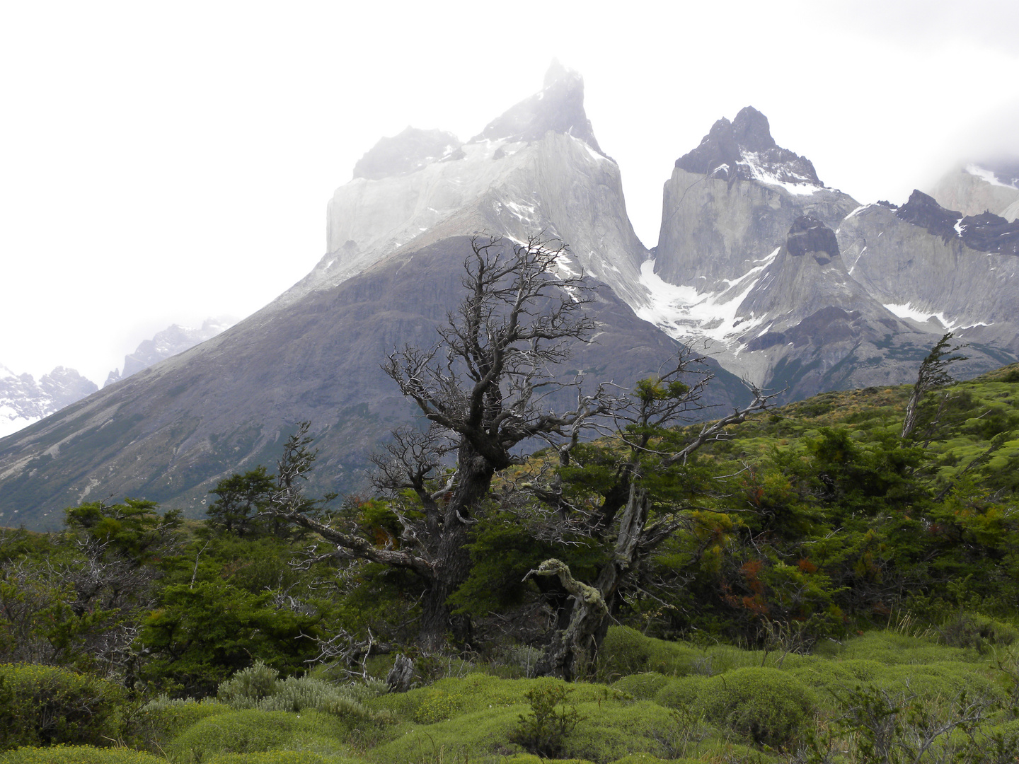 Torres del Paine