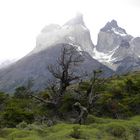 Torres del Paine