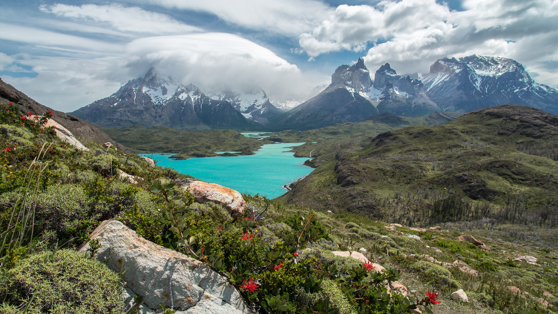 Torres del Paine