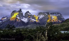 Torres del Paine