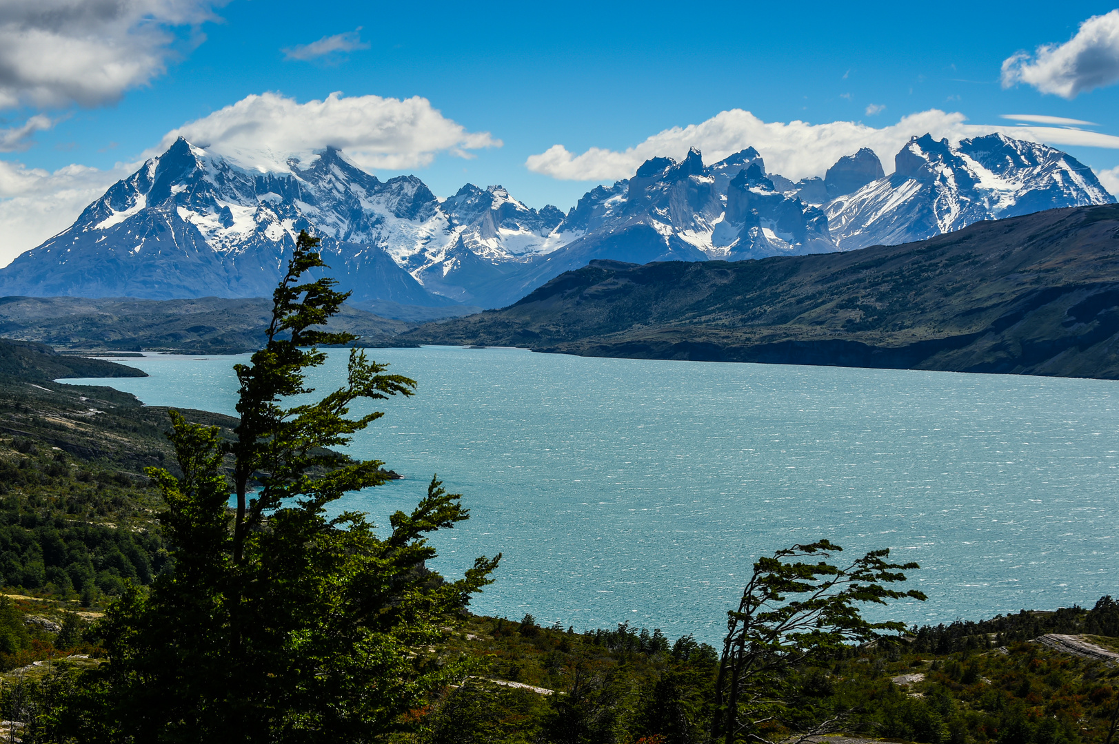 Torres del Paine                             DSC_6055-2