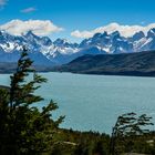 Torres del Paine                             DSC_6055-2