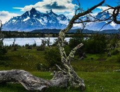 Torres del Paine                                        DSC_6068-3