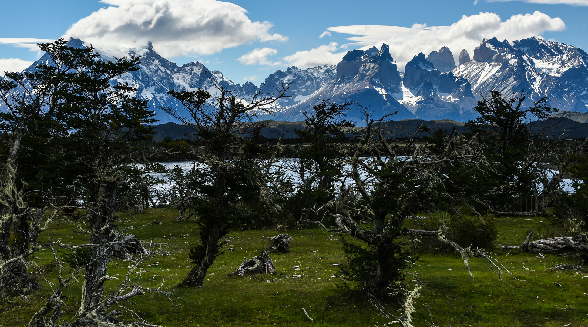 Torres del Paine                                DSC_6073-3