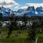 Torres del Paine                                DSC_6073-3