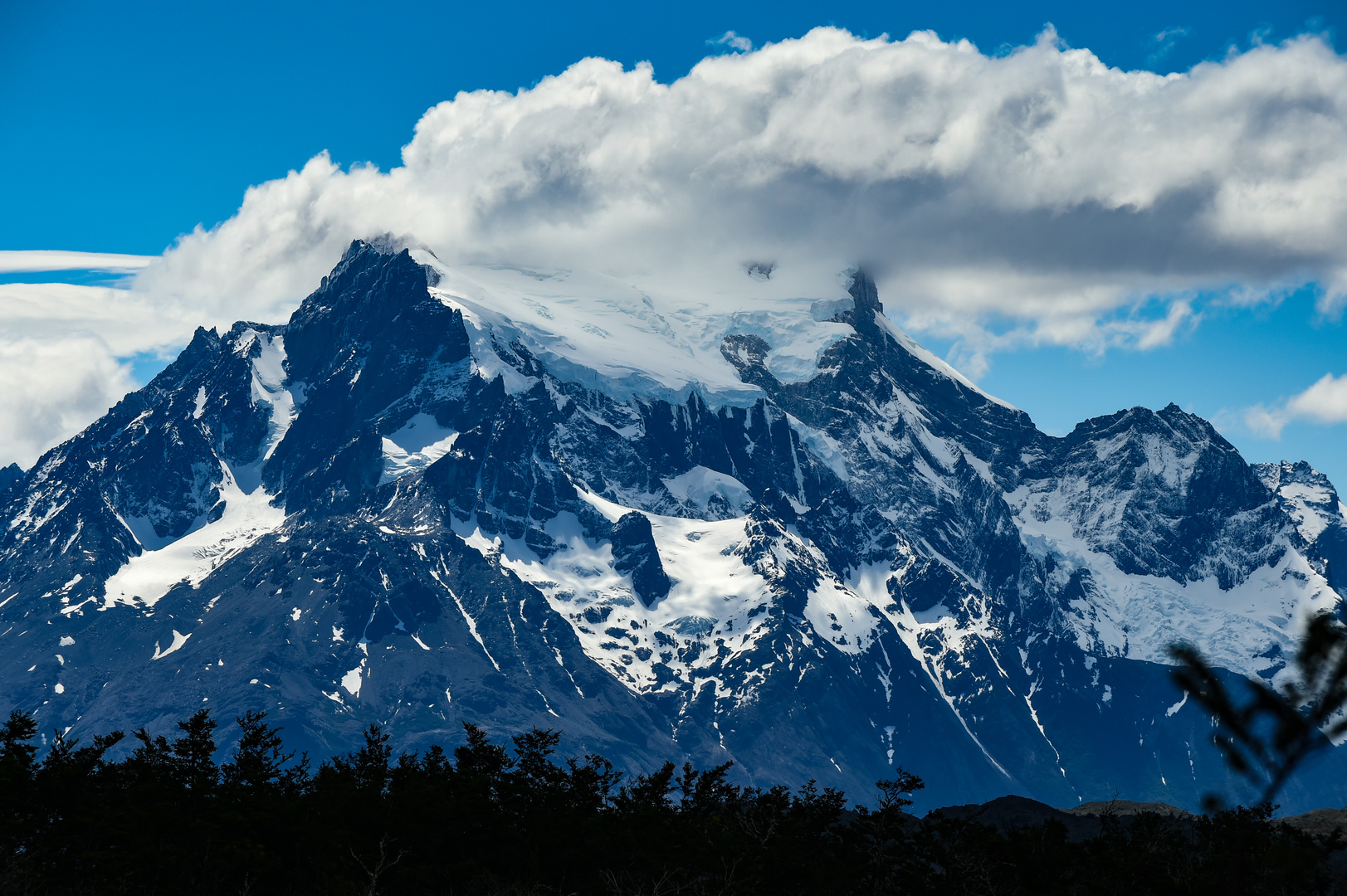 Torres del Paine                                   DSC_6076-3