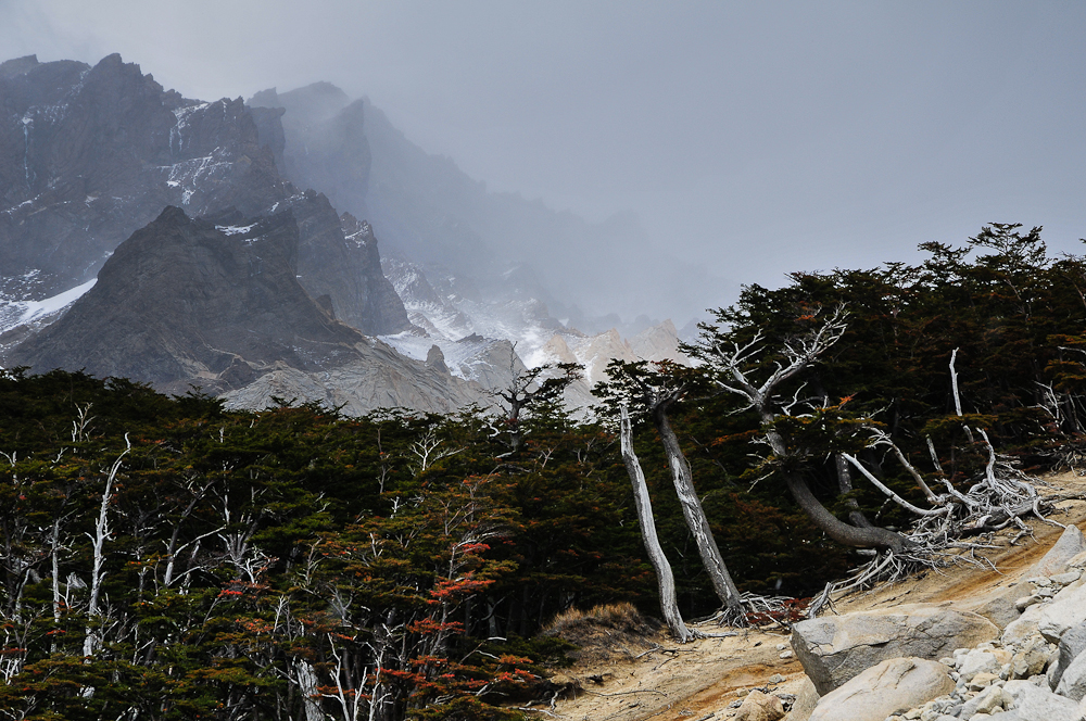 Torres del Paine