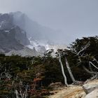 Torres del Paine