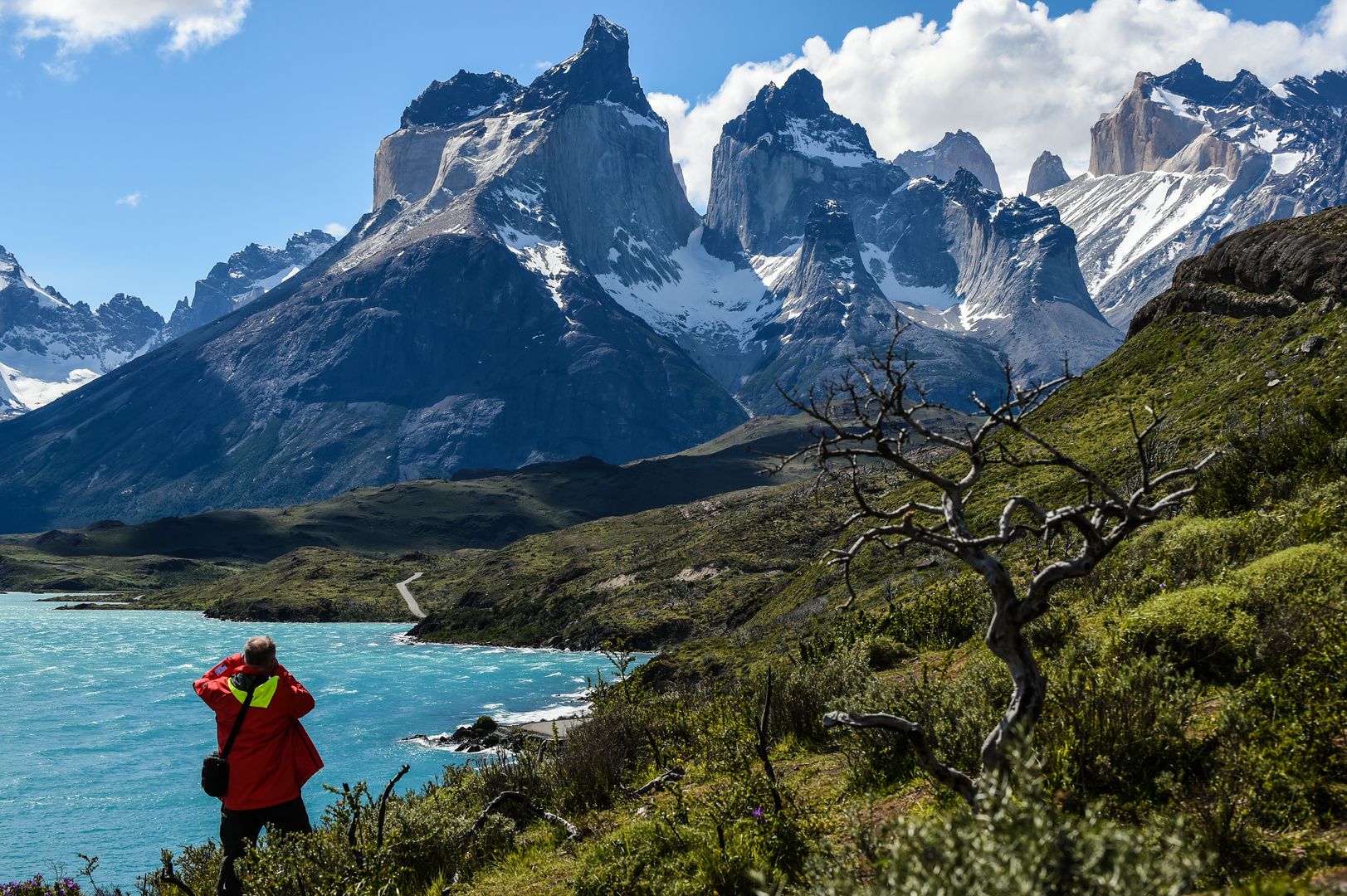 Torres del Paine    (fotografieren)                     DSC_6094-2