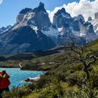 Torres del Paine    (fotografieren)                     DSC_6094-2