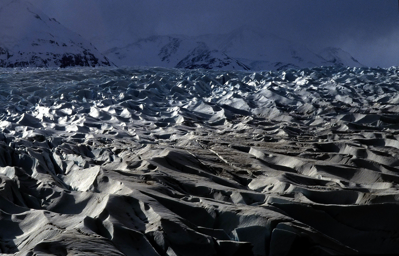 Torres del Paine - Glaciar Grey IV