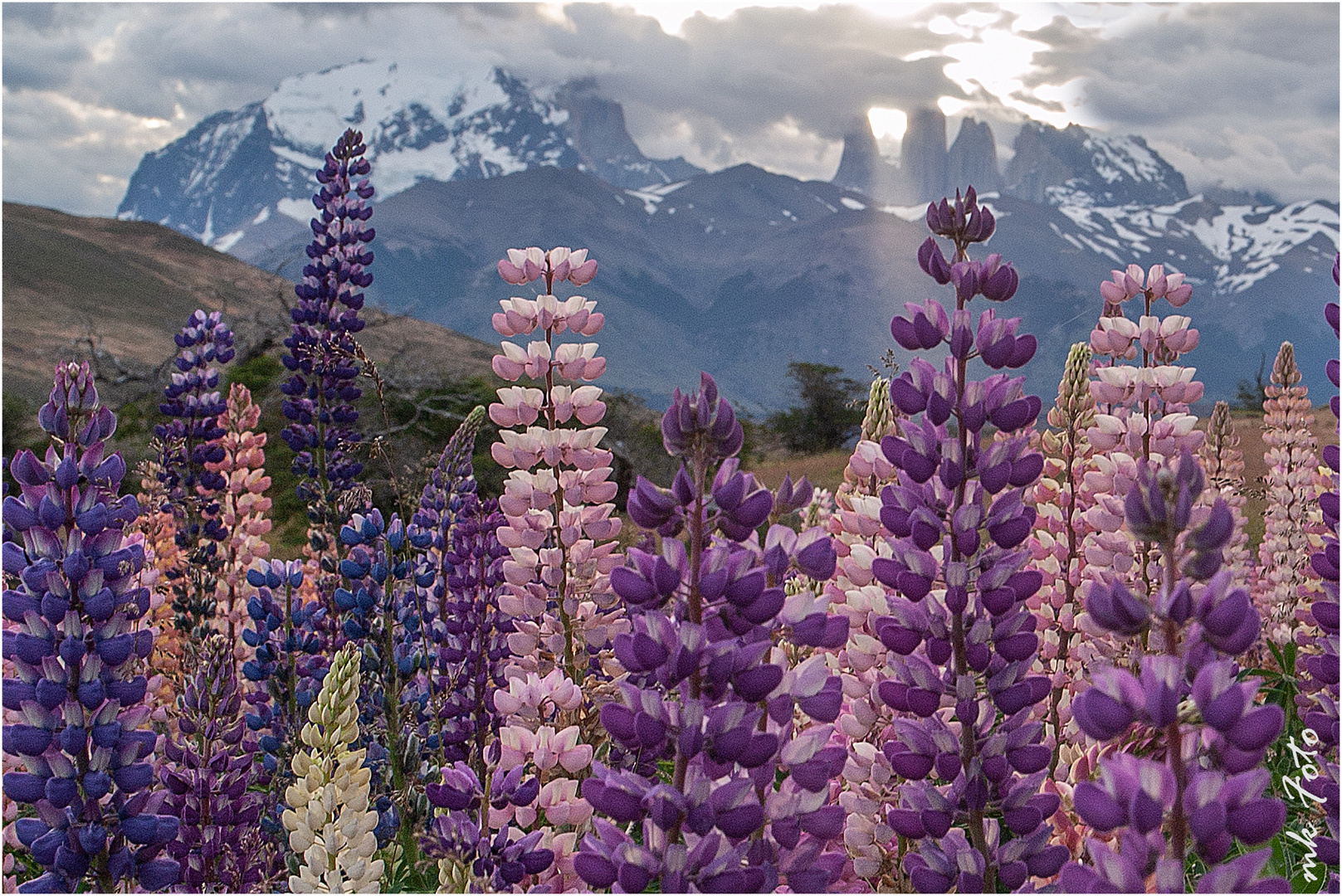 Torres del Paine in Patagonien