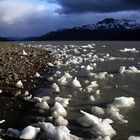 Torres del Paine - Lago GreyIII