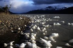 Torres del Paine - Lago GreyIII