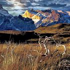 Torres del Paine National Park