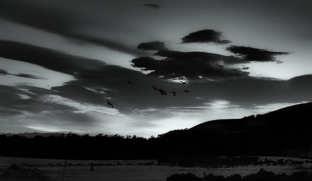 ... torres del paine nationalpark