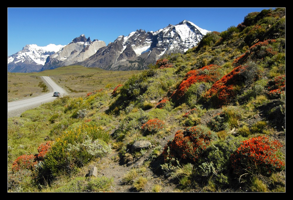 Torres del Paine Nationalpark 8