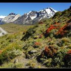 Torres del Paine Nationalpark 8