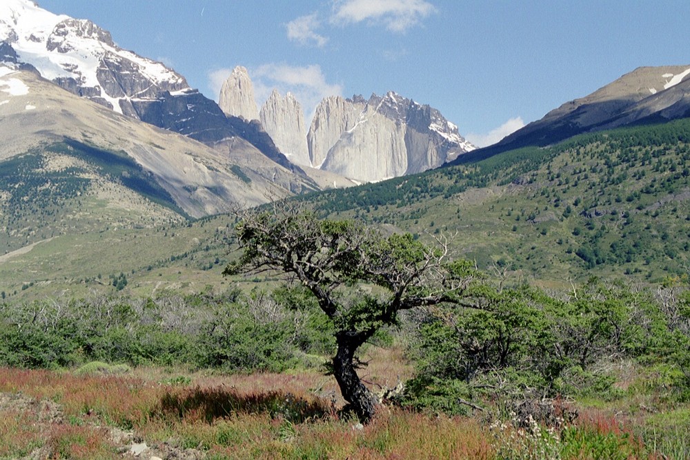 Torres del Paine Nationalpark (Chile)