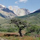 Torres del Paine Nationalpark (Chile)